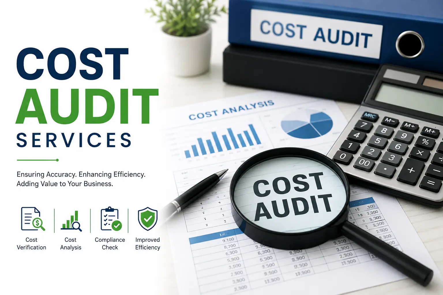 Cost Audit Services